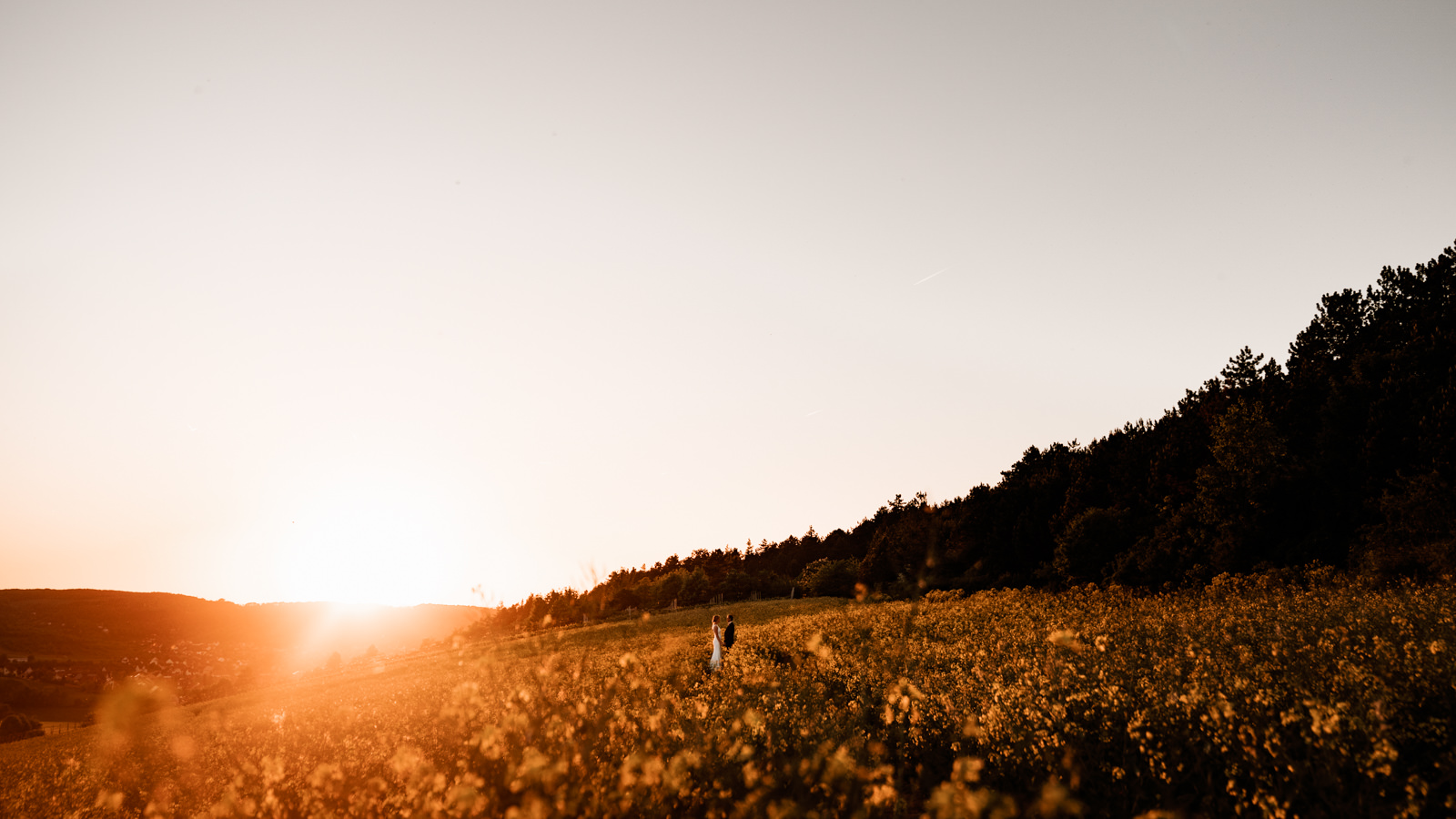 Hochzeitsbilder bei Sonnenuntergang in Würzburg durch Hochzeitsfotograf Axel Link