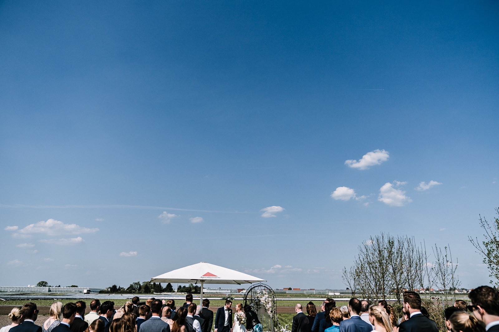 Hochzeit im Gwaechshaus in Nuernberg. Begleitet als Hochzeitsreportage durch Hochzeitsfotograf Axel Link aus Wuerzburg