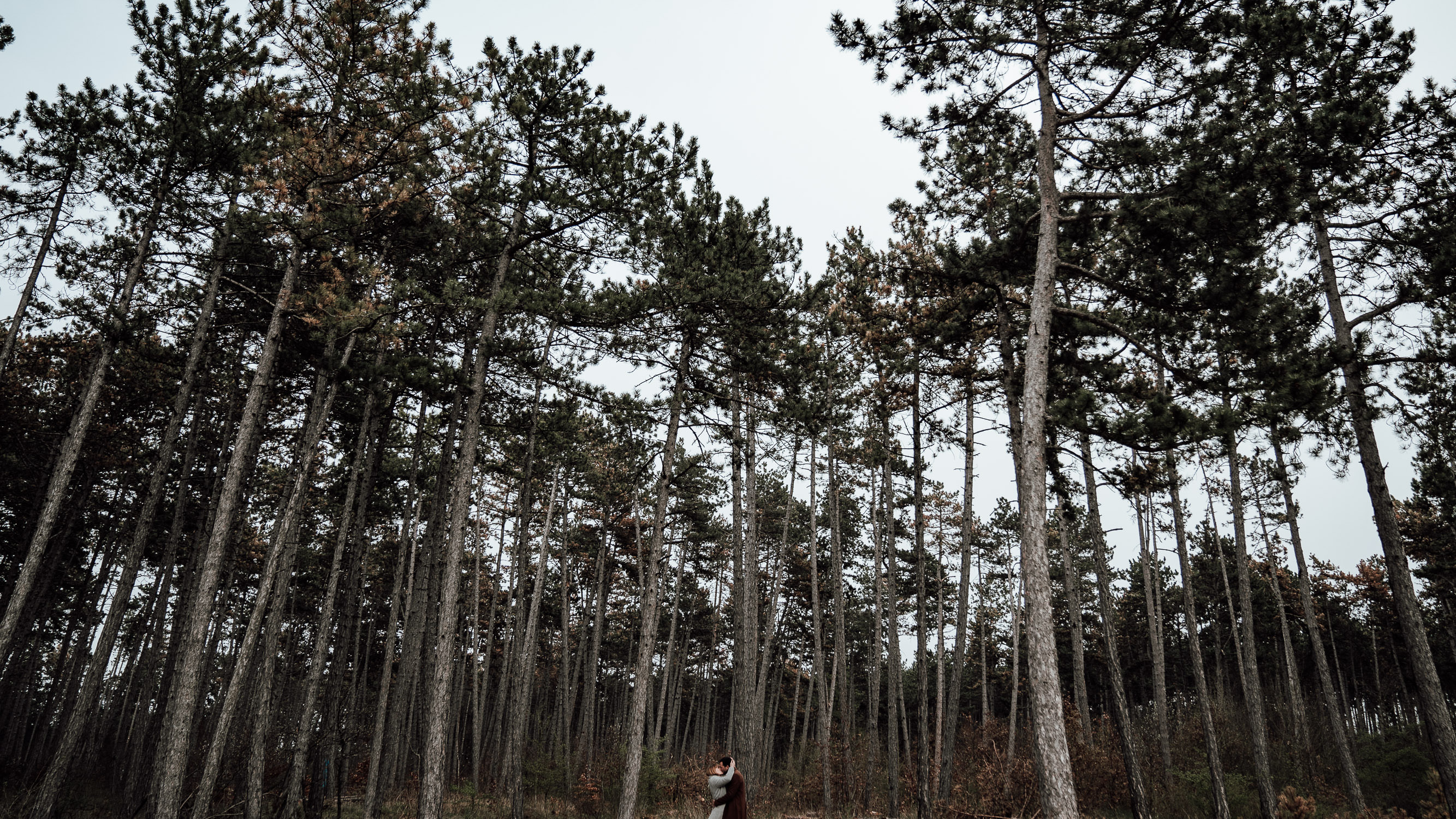 Pärchenbilder im Wald vom Hochzeitsfotograf Axel Link aus Wuerzburg