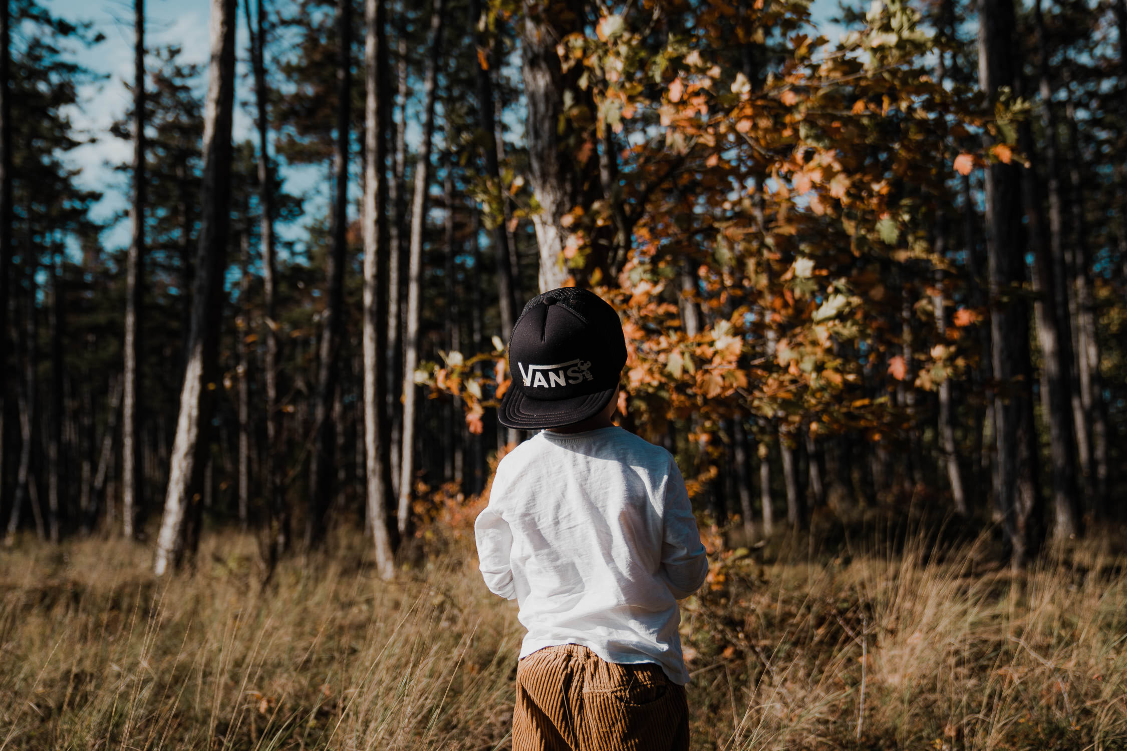Familienfoto im Wald. Echt und ungestellt