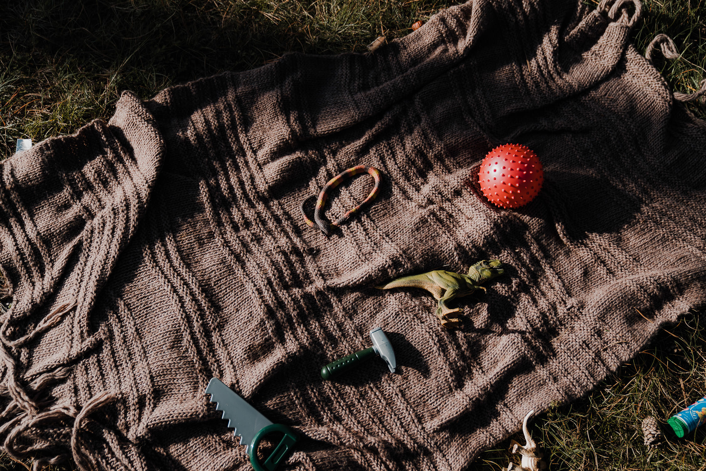 Familienfoto im Wald. Echt und ungestellt