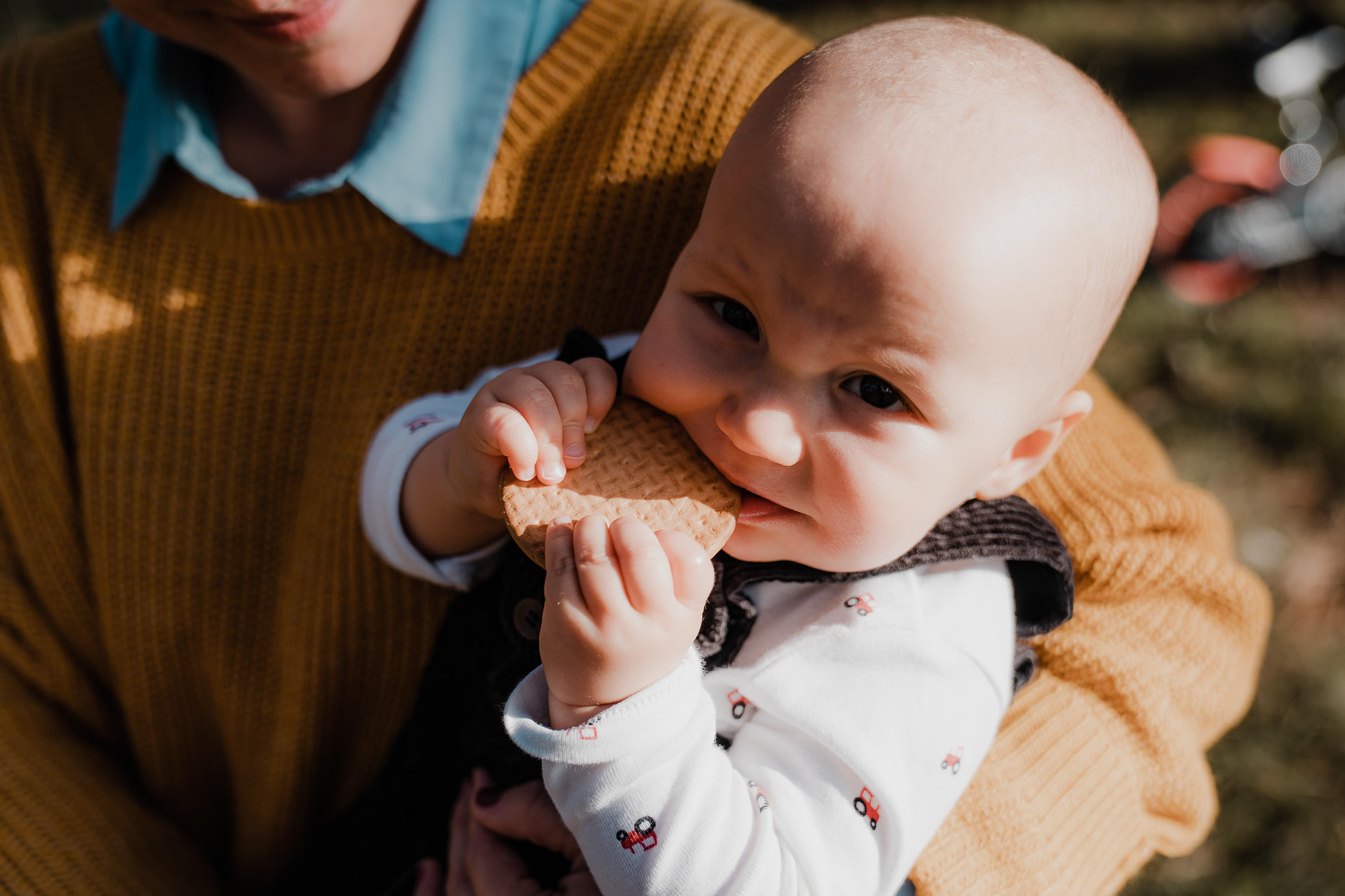 Familienfoto im Wald. Echt und ungestellt