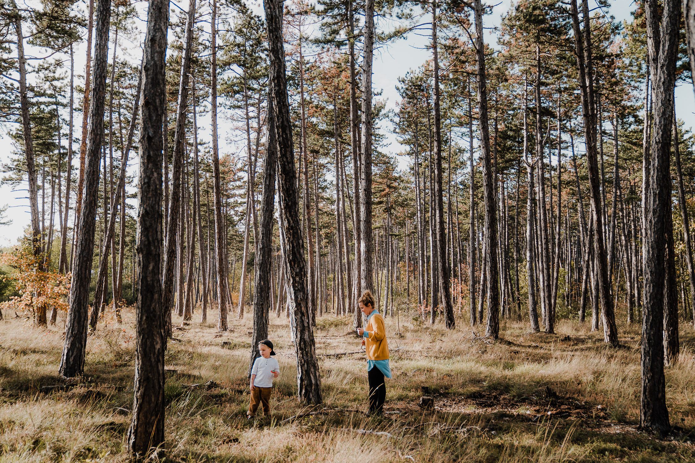 Familienfoto im Wald. Echt und ungestellt