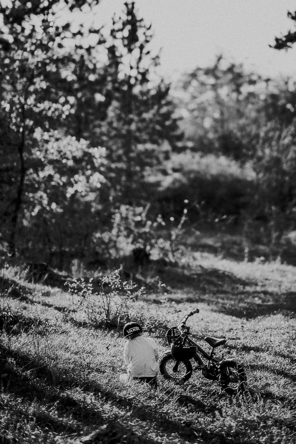 Familienfoto im Wald. Echt und ungestellt
